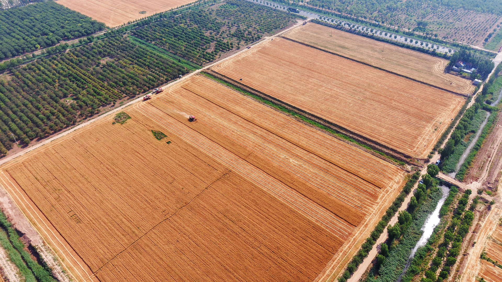 博華麥收會(huì)戰告捷，上(shàng)下(xià)同心力保夏糧顆粒歸倉