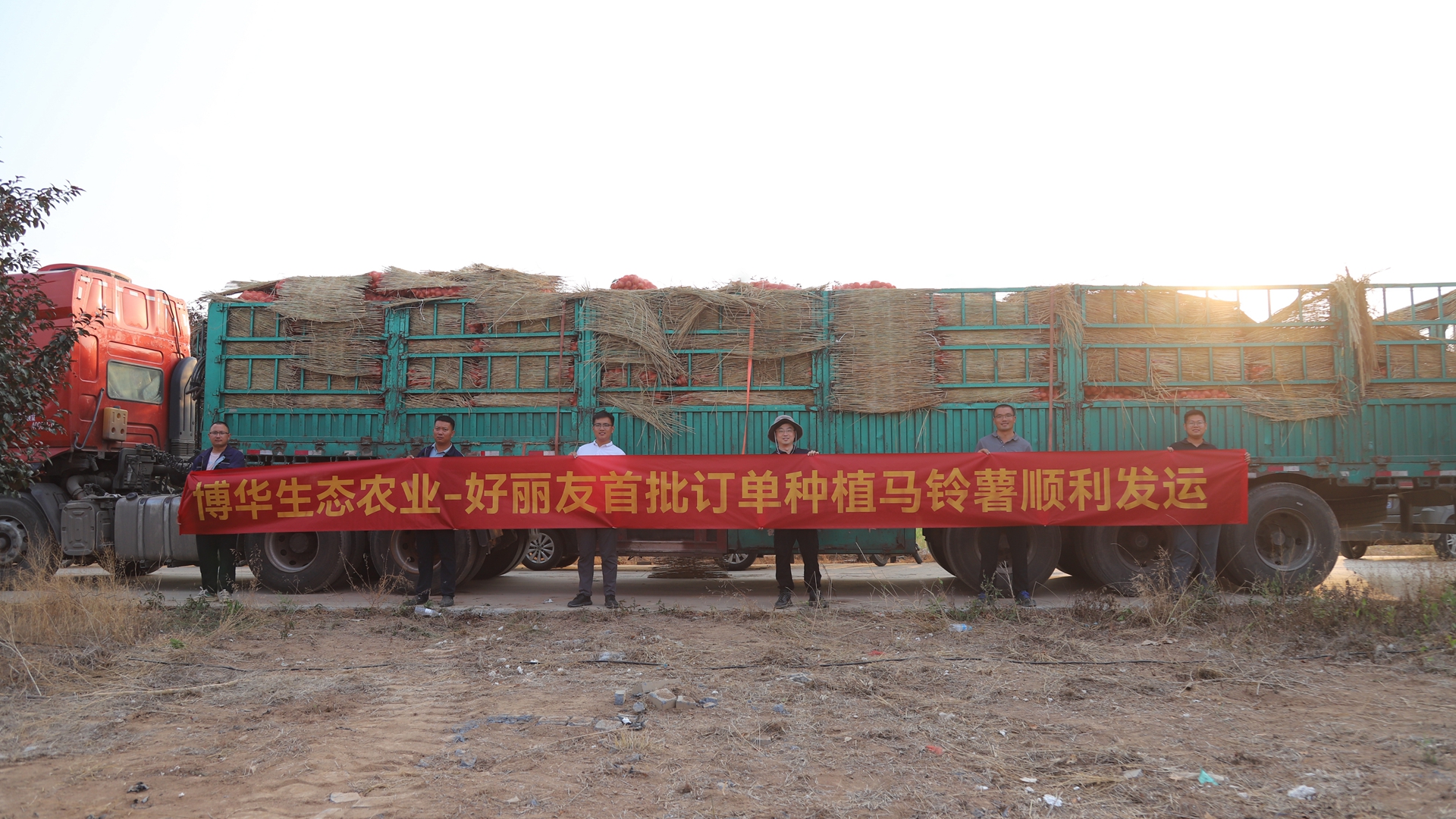 攜手夥伴聯融共赢，博華訂單式種植馬鈴薯喜獲豐收