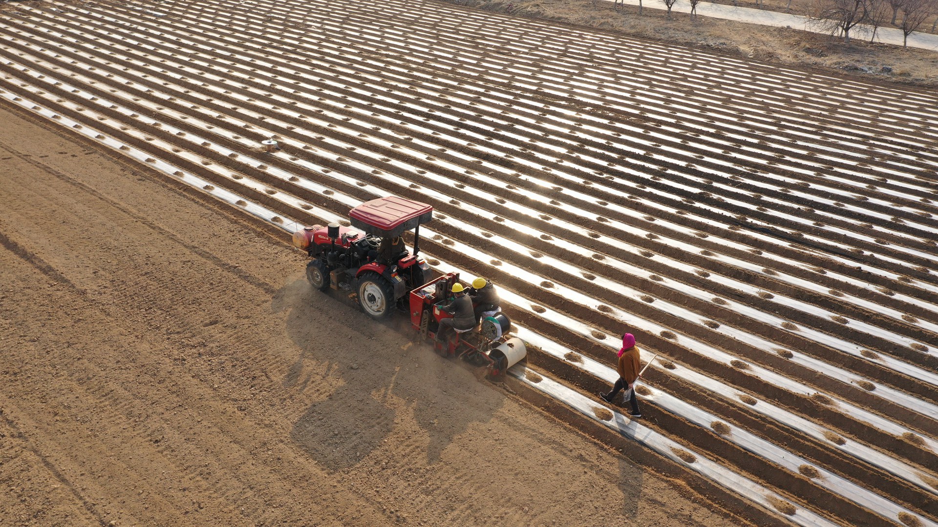 博華生(shēng)态農(nóng)業(yè)春日(rì)農(nóng)忙不(bù)停歇，綠(lǜ)色發展正當時(shí)